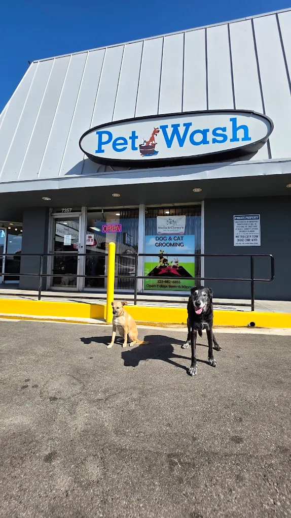 Pet Wash